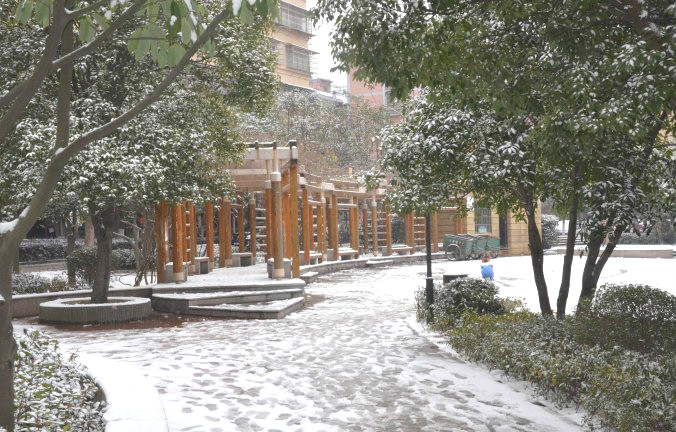 初雪逢周末，多个项目及时展开清理工作