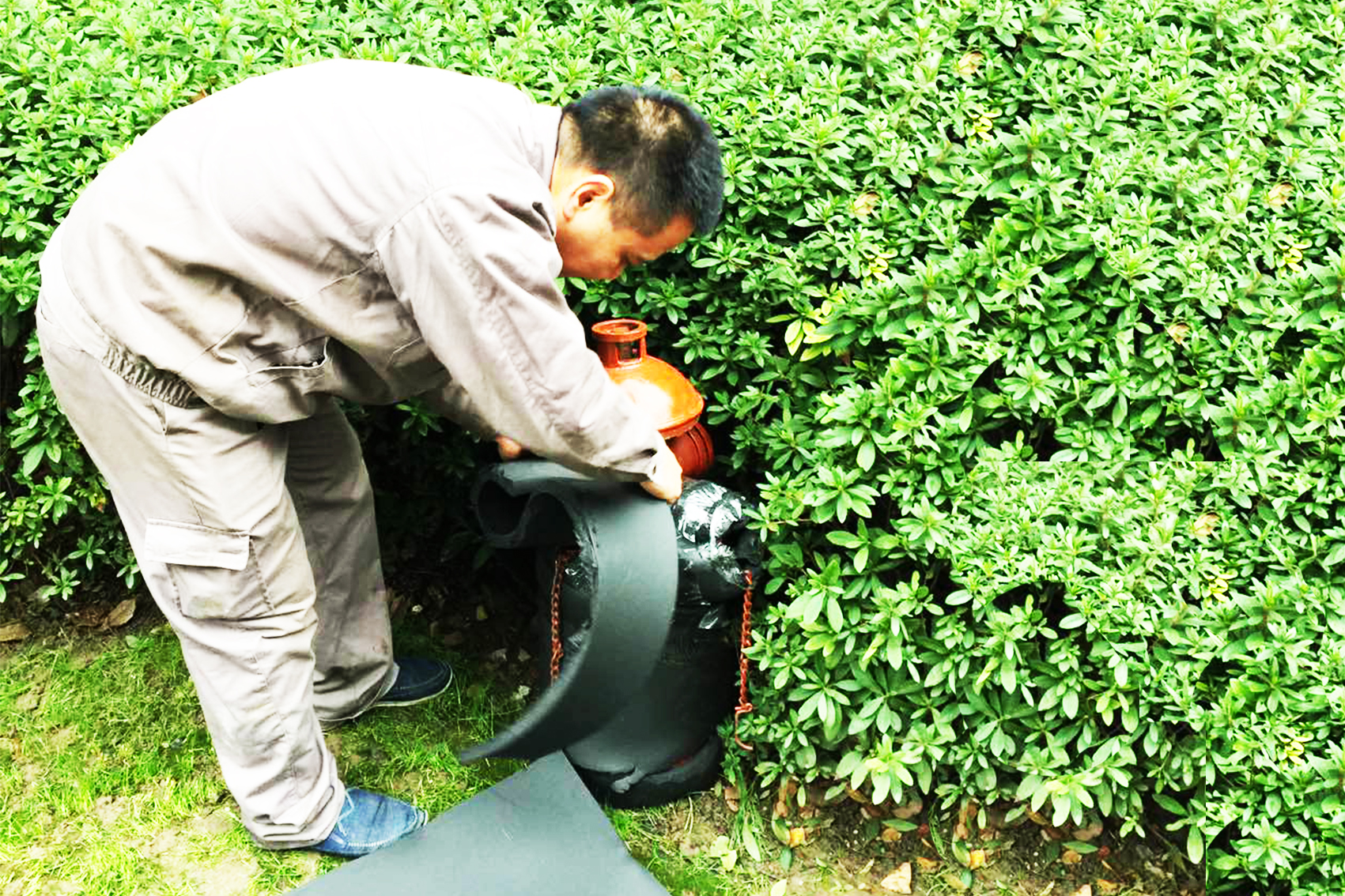 大寒将至，抗寒指南请您收好