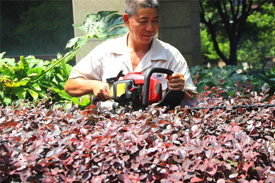 866755038002992344 (2).jpg